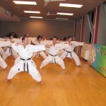 dimostrazione KARATE DO MILANO 28 01 2011