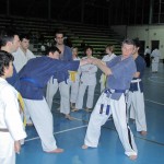 RADUNO gennaio 2011  Yoseikan Budo