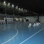 RADUNO INTERSTILE YAMABUSHI GENNAIO 2011  (KARATE DO-IAIDO-YOSEIKAN BUDO- JU JITSU-IAIDO-BIOENERGETICA )