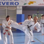 RADUNO gennaio 2011 Karate Do